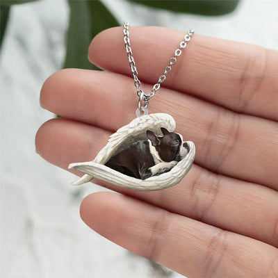 COLLEZIONE AMICI A QUATTRO ZAMPE